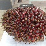 palm oil cone