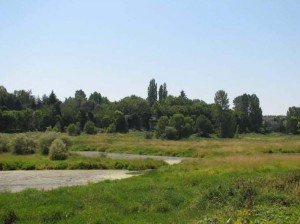 Nyberg Creek Portland