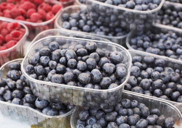 National blueberry month