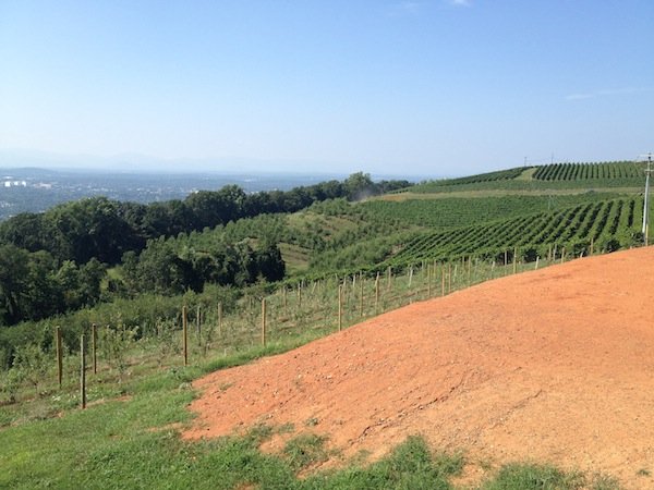 Carter Mountain Orchard, one of several owned by the Chiles family, is located in Charlottesville, Va.