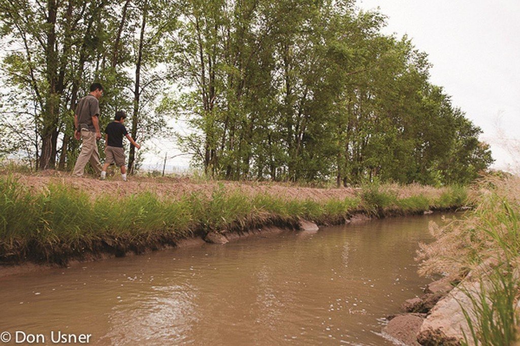 Rio Grande Refuge, NM Rio Grande Refuge, NM