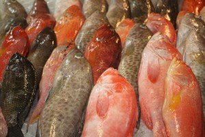 Sustainable Fisheries Partnership and Walmart